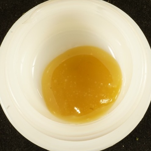 Dabble - Budder - Tropical Tangie
