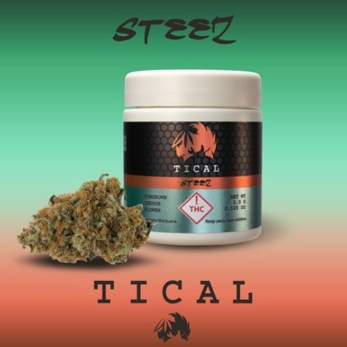 TICAL - Premium Flower - Steez